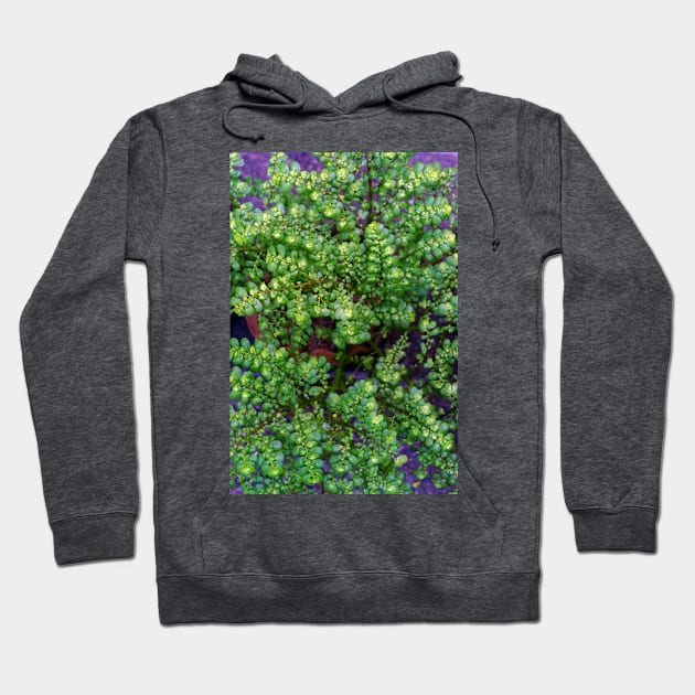 Green Leaf Plant Hoodie by likbatonboot